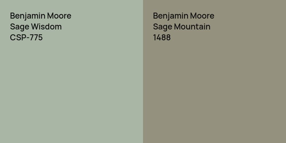 Benjamin Moore Sage Wisdom vs. Benjamin Moore Sage Mountain