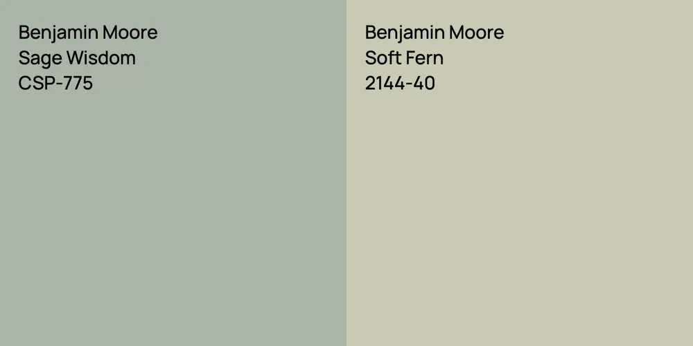 Benjamin Moore Sage Wisdom vs. Benjamin Moore Soft Fern