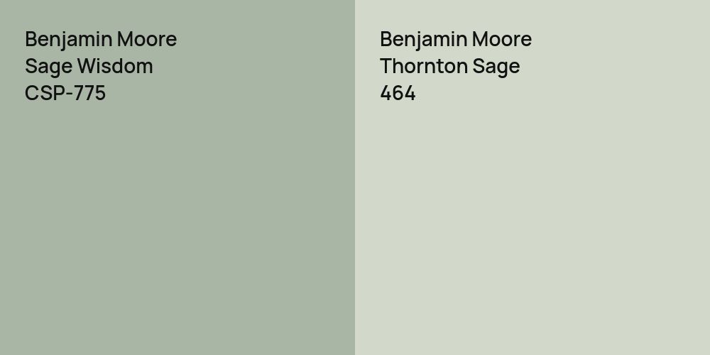 Benjamin Moore Sage Wisdom vs. Benjamin Moore Thornton Sage