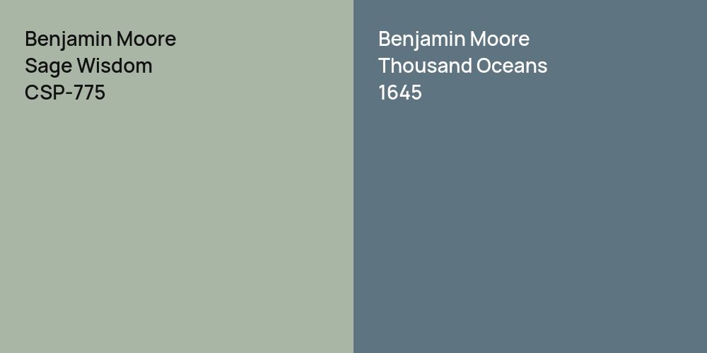 Benjamin Moore Sage Wisdom vs. Benjamin Moore Thousand Oceans