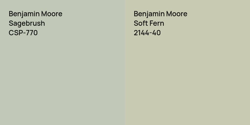 Benjamin Moore Sagebrush vs. Benjamin Moore Soft Fern