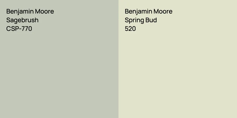 Benjamin Moore Sagebrush vs. Benjamin Moore Spring Bud