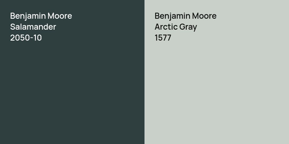 Benjamin Moore Salamander vs. Benjamin Moore Arctic Gray