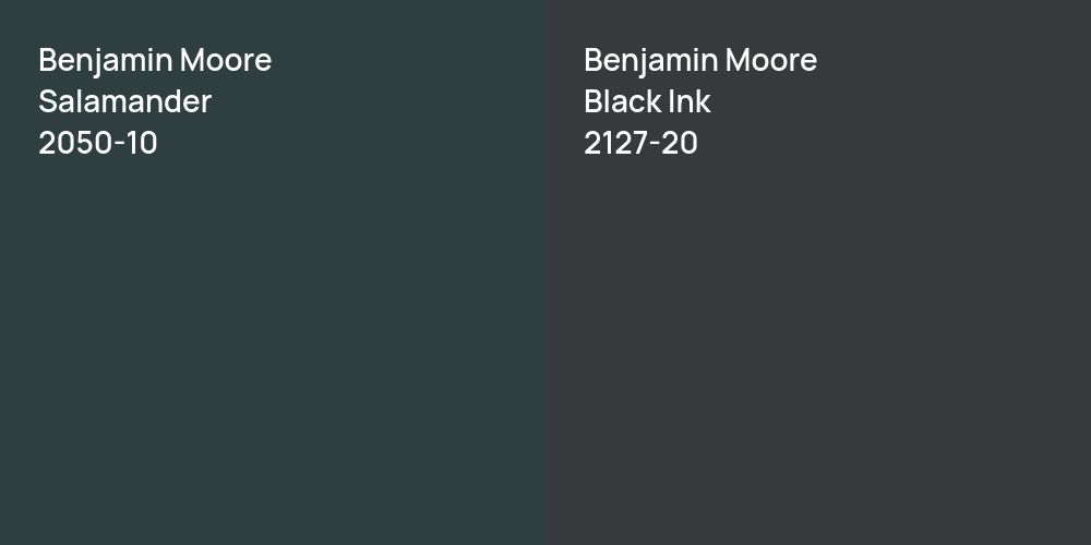 Benjamin Moore Salamander vs. Benjamin Moore Black Ink