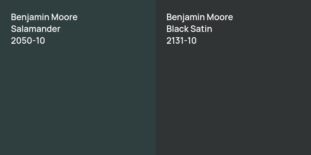 Benjamin Moore Salamander vs. Benjamin Moore Black Satin