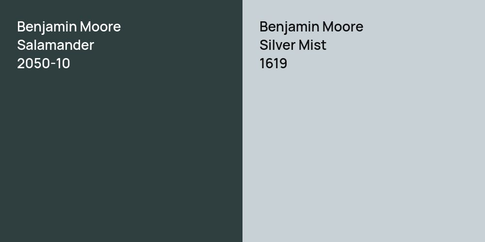 Benjamin Moore Salamander vs. Benjamin Moore Silver Mist