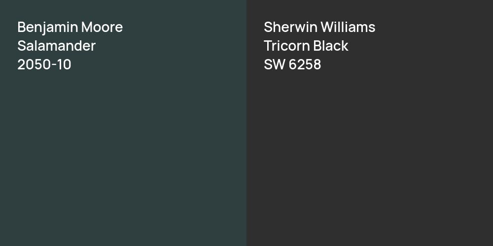 Benjamin Moore Salamander vs. Sherwin Williams Tricorn Black