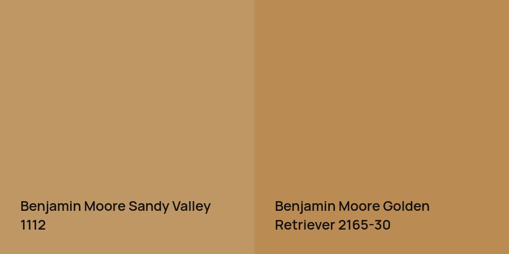 Benjamin Moore Sandy Valley vs. Benjamin Moore Golden Retriever