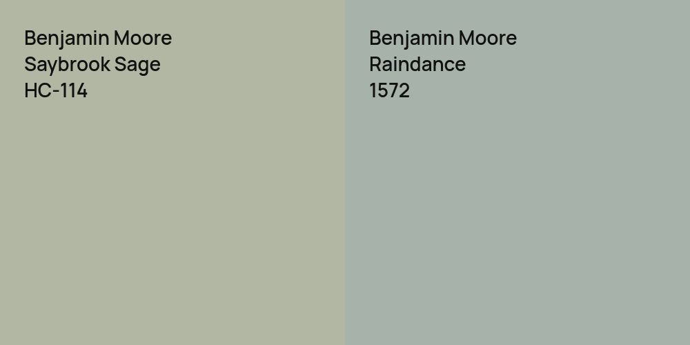 Benjamin Moore Saybrook Sage vs. Benjamin Moore Raindance