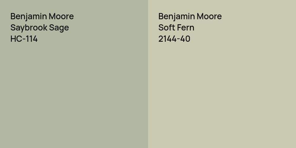 Benjamin Moore Saybrook Sage vs. Benjamin Moore Soft Fern