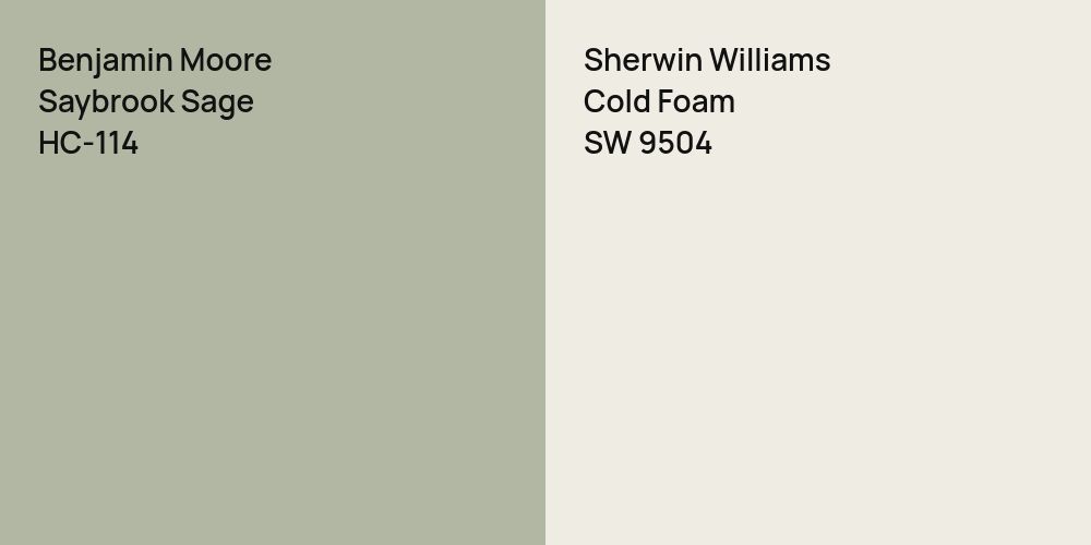 Benjamin Moore Saybrook Sage vs. Sherwin Williams Cold Foam