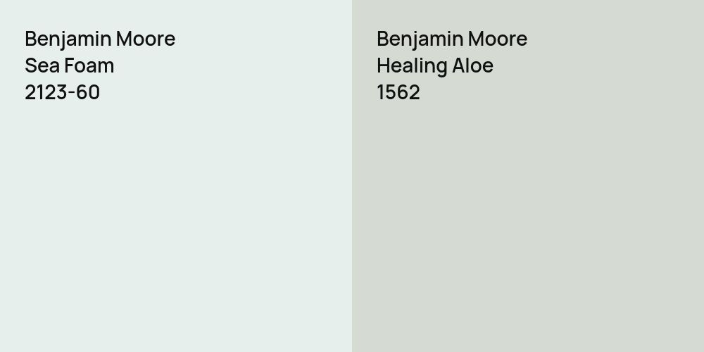 Benjamin Moore Sea Foam vs. Benjamin Moore Healing Aloe