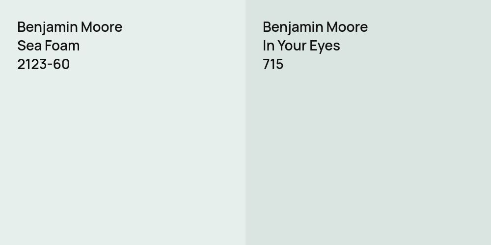 Benjamin Moore Sea Foam vs. Benjamin Moore In Your Eyes