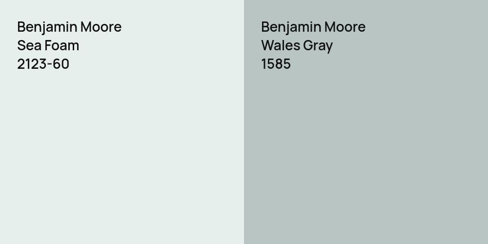 Benjamin Moore Sea Foam vs. Benjamin Moore Wales Gray