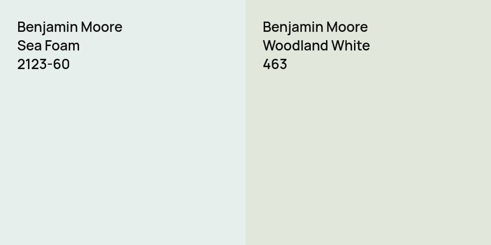 Benjamin Moore Sea Foam vs. Benjamin Moore Woodland White