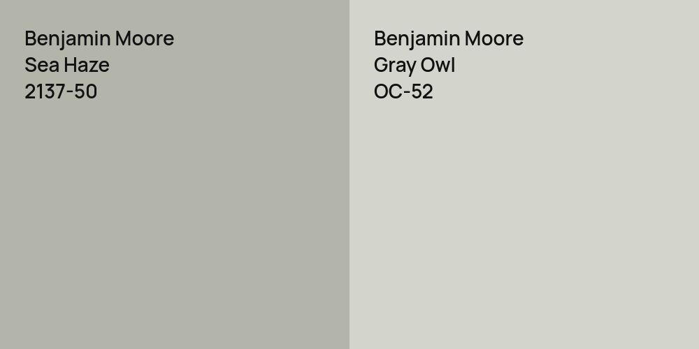 Benjamin Moore Sea Haze vs. Benjamin Moore Gray Owl