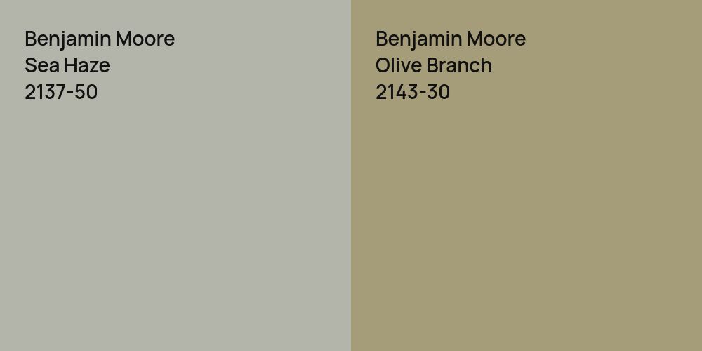 Benjamin Moore Sea Haze vs. Benjamin Moore Olive Branch