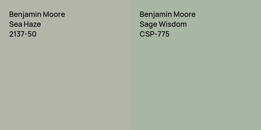 Benjamin Moore Sea Haze vs. Benjamin Moore Sage Wisdom