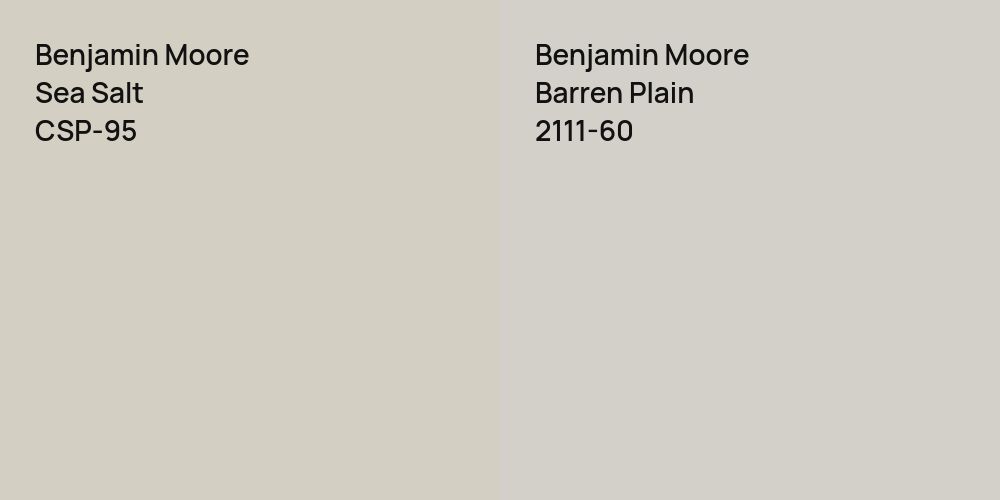 Benjamin Moore Sea Salt vs. Benjamin Moore Barren Plain