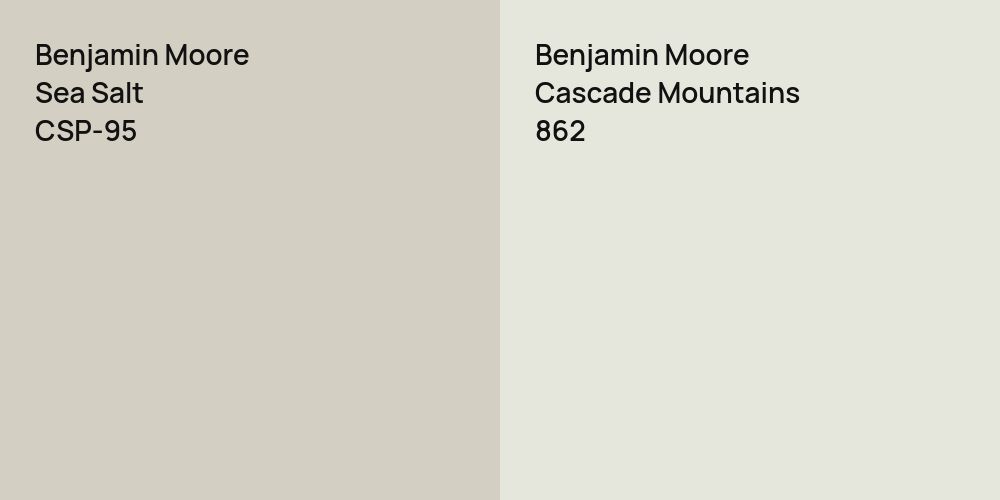 Benjamin Moore Sea Salt vs. Benjamin Moore Cascade Mountains