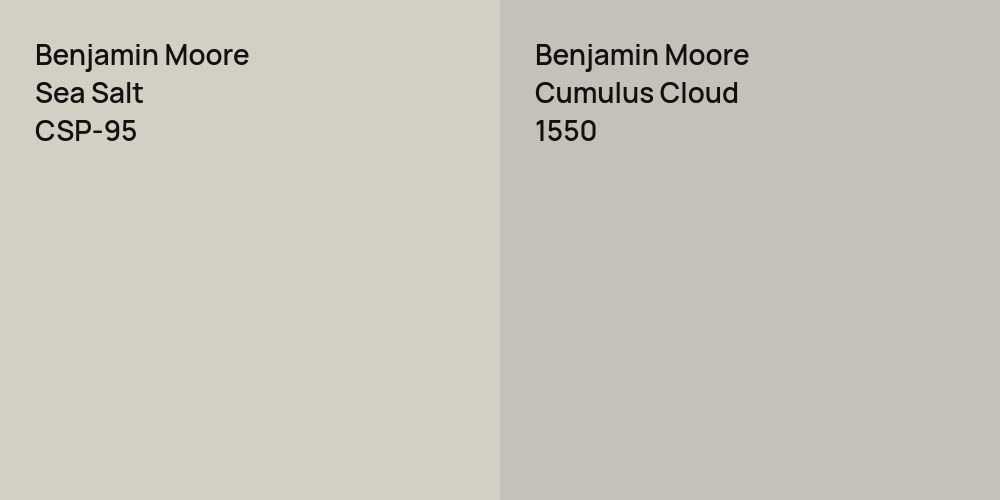 Benjamin Moore Sea Salt vs. Benjamin Moore Cumulus Cloud