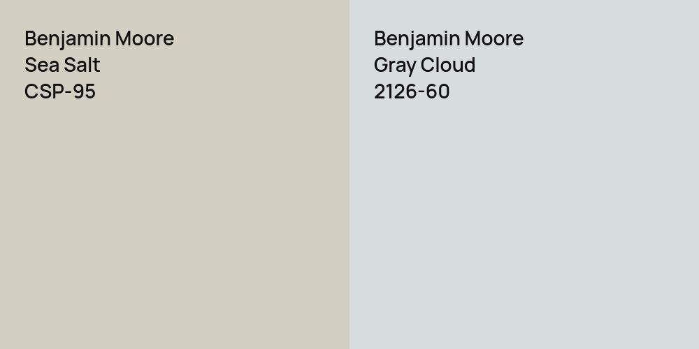 Benjamin Moore Sea Salt vs. Benjamin Moore Gray Cloud