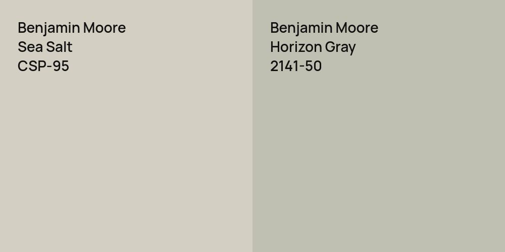 Benjamin Moore Sea Salt vs. Benjamin Moore Horizon Gray