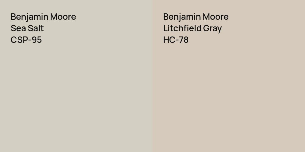 Benjamin Moore Sea Salt vs. Benjamin Moore Litchfield Gray