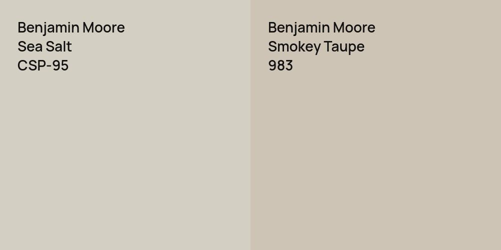 Benjamin Moore Sea Salt vs. Benjamin Moore Smokey Taupe