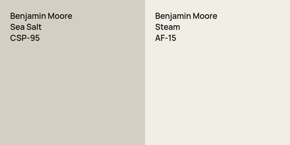 Benjamin Moore Sea Salt vs. Benjamin Moore Steam