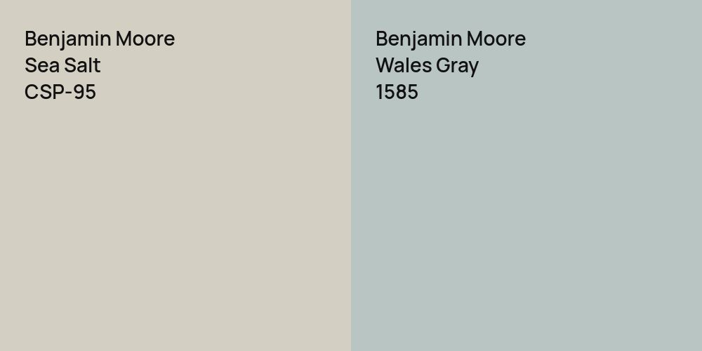 Benjamin Moore Sea Salt vs. Benjamin Moore Wales Gray