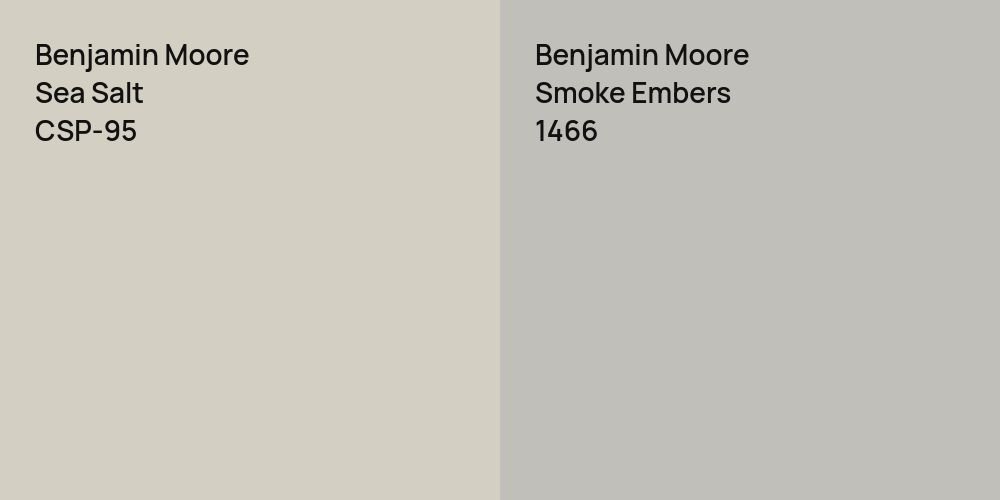 Benjamin Moore Sea Salt vs. Benjamin Moore Smoke Embers