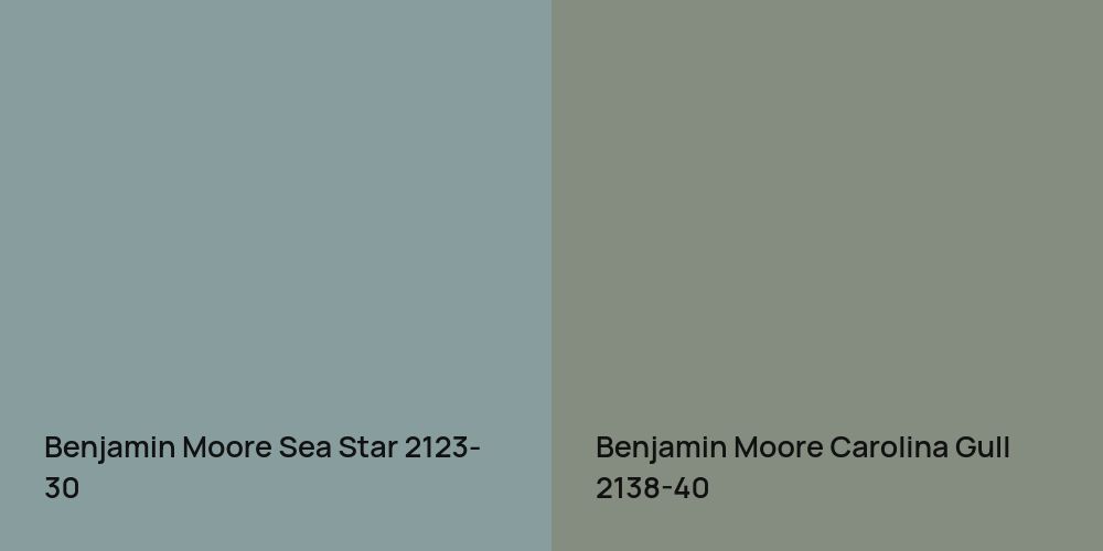 Benjamin Moore Sea Star vs. Benjamin Moore Carolina Gull