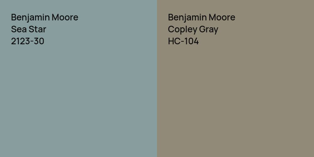 Benjamin Moore Sea Star vs. Benjamin Moore Copley Gray