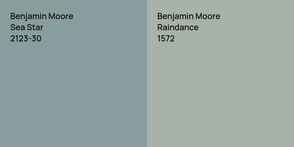 Benjamin Moore Sea Star vs. Benjamin Moore Raindance