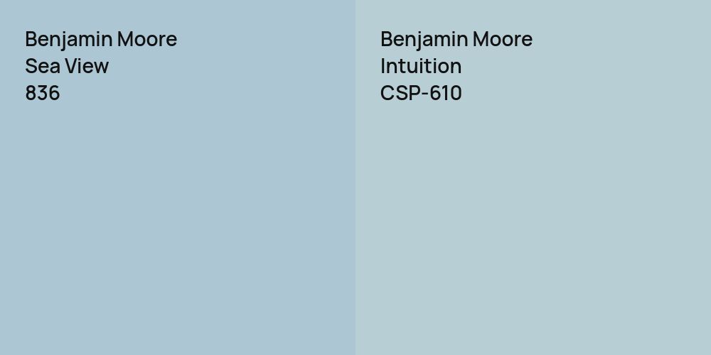 Benjamin Moore Sea View vs. Benjamin Moore Intuition