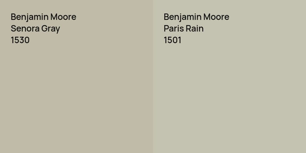 Benjamin Moore Senora Gray vs. Benjamin Moore Paris Rain