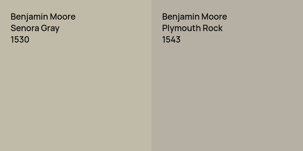 Benjamin Moore Senora Gray vs. Benjamin Moore Plymouth Rock