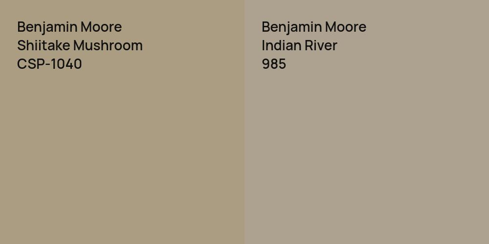 Benjamin Moore Shiitake Mushroom vs. Benjamin Moore Indian River