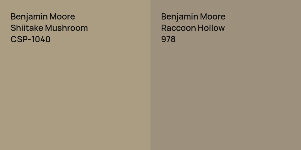 Benjamin Moore Shiitake Mushroom vs. Benjamin Moore Raccoon Hollow