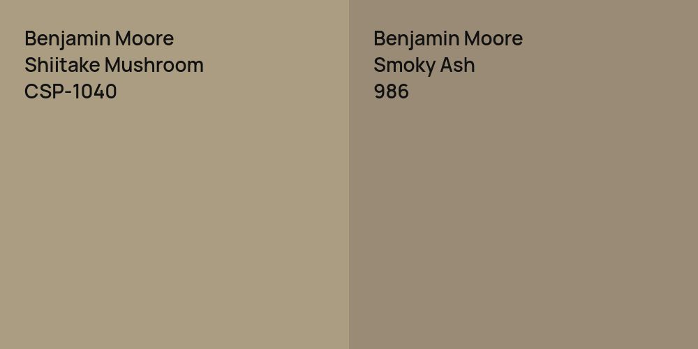 Benjamin Moore Shiitake Mushroom vs. Benjamin Moore Smoky Ash