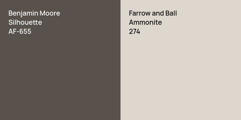 Benjamin Moore Silhouette vs. Farrow and Ball Ammonite