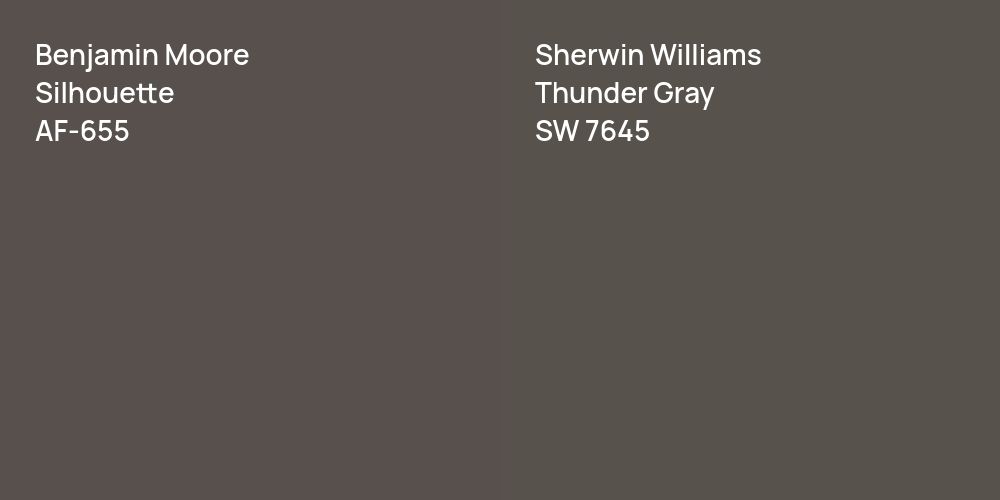 Benjamin Moore Silhouette vs. Sherwin Williams Thunder Gray