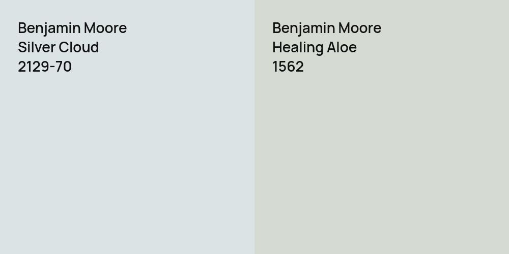 Benjamin Moore Silver Cloud vs. Benjamin Moore Healing Aloe