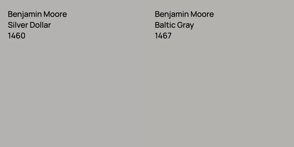 Benjamin Moore Silver Dollar vs. Benjamin Moore Baltic Gray