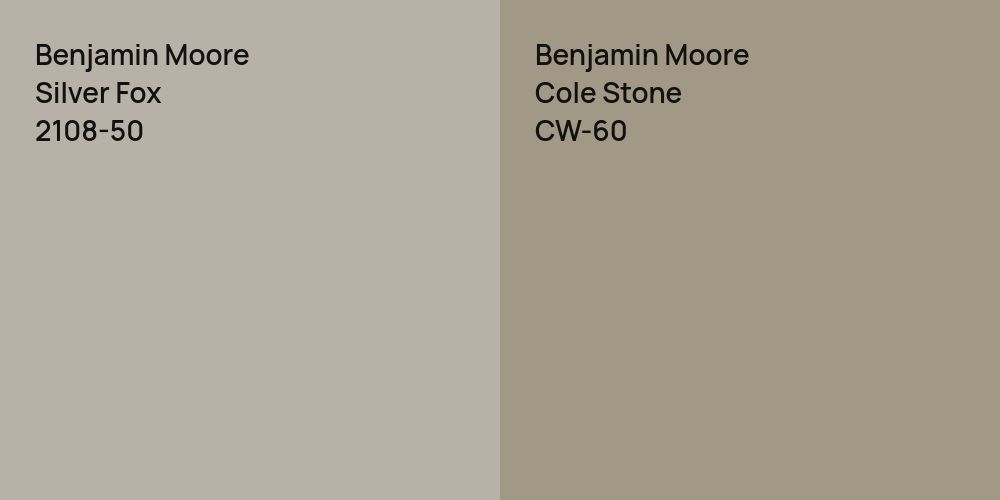 Benjamin Moore Silver Fox vs. Benjamin Moore Cole Stone