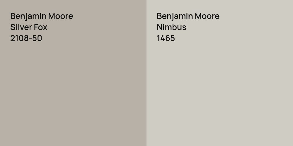 Benjamin Moore Silver Fox vs. Benjamin Moore Nimbus