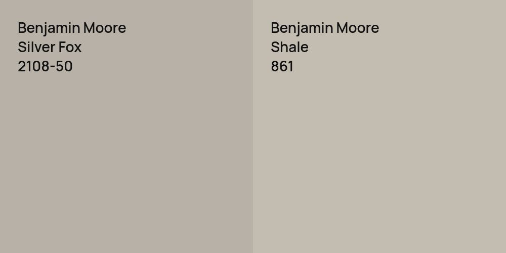 Benjamin Moore Silver Fox vs. Benjamin Moore Shale