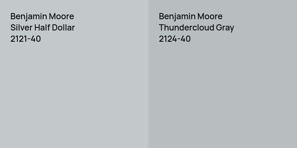 Benjamin Moore Silver Half Dollar vs. Benjamin Moore Thundercloud Gray