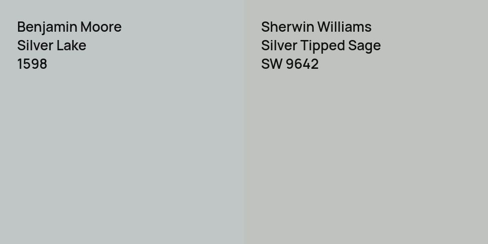 Benjamin Moore Silver Lake vs. Sherwin Williams Silver Tipped Sage